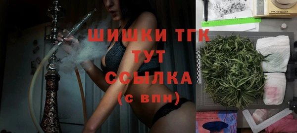 прущая мука Вяземский