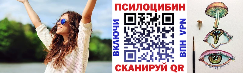 площадка какой сайт  Дятьково  Галлюциногенные грибы прущие грибы 