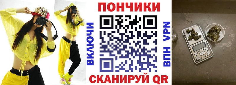 Шишки марихуана конопля Дятьково